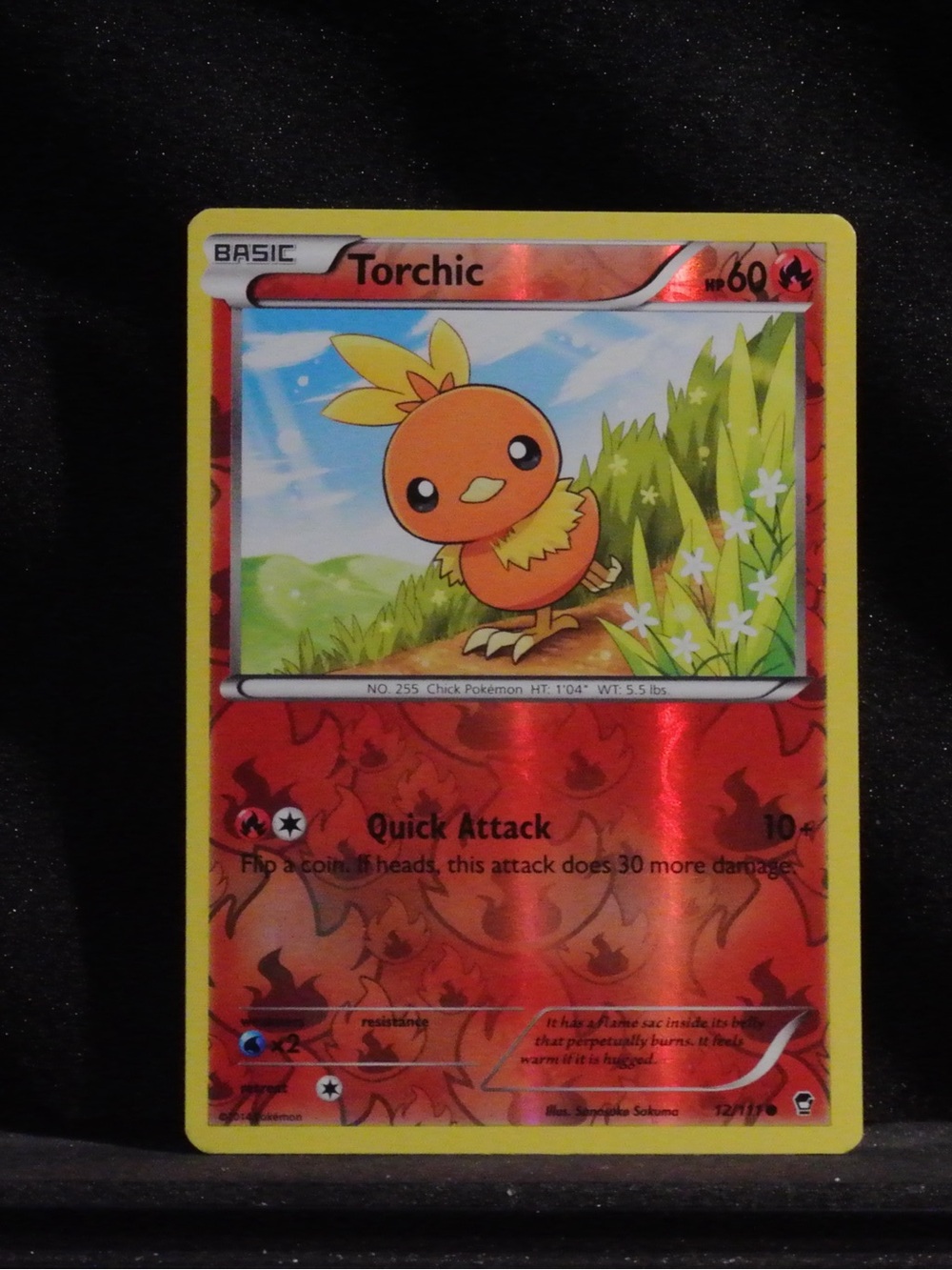 Pokémon Reverse Holo Torchic Trading Card - Vintage Collectible Card